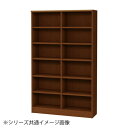 TAIYO OWR オーダーワイドラック 18120レギュラー ブラウン BR