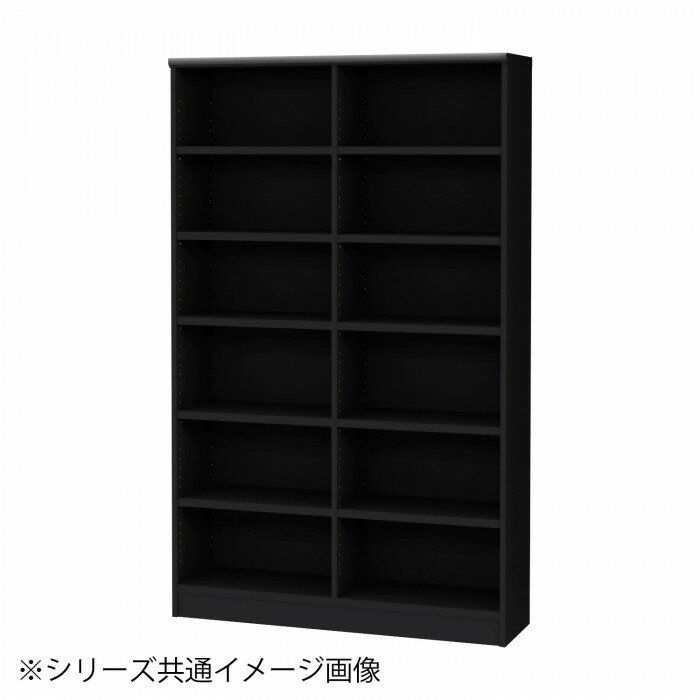 TAIYO OWR オーダーワイドラック 18120レギュラー ブラック BK