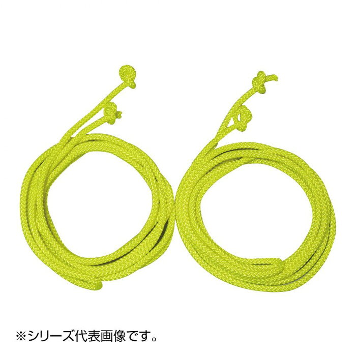 ※サプライヤー直送品　ダブルダッチの屋内外兼用タイプのジャンピングロープです。サイズ個装サイズ：50×50×40cm重量個装重量：4000g素材・材質ポリエステル生産国日本fk094igrjs