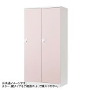 豊國工業 オール扉タイプ2人用 W900 ダイヤル錠 RLK-TTD290-WTW