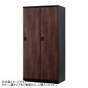 豊國工業 オール扉タイプ2人用 W900 内筒交換錠 RLK-TTN290-BBT