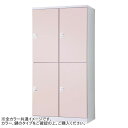豊國工業 オール扉タイプハンガーパイプ式4人用2列2段 W900 内筒交換錠 RLK-TTPN4290-WLP