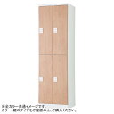 豊國工業 オール扉タイプ可動棚式4人用2列2段 W525 内筒交換錠 RLK-TTKN4252-WLP(3)