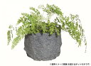 フラワーポット 86295