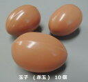 食品サンプル 玉子 赤玉 10個 IP 502