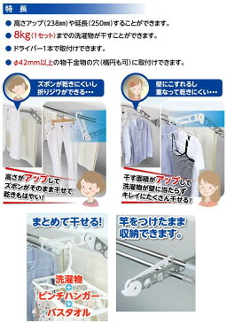 チョイ干し HOSETA ホセタ 物干金物用 サオ アップ LB25 1セット 2本入り ホワイト