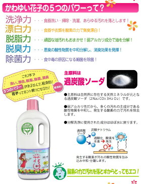 酸素系洗剤 洗濯機 衣料用酸素系洗剤 酸素系漂白剤 洗濯 除菌 洗剤 3.5kg