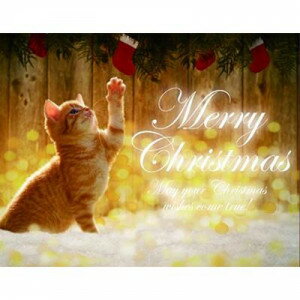 LEDキャンバス　CAT　クリスマスおめでとう 763571