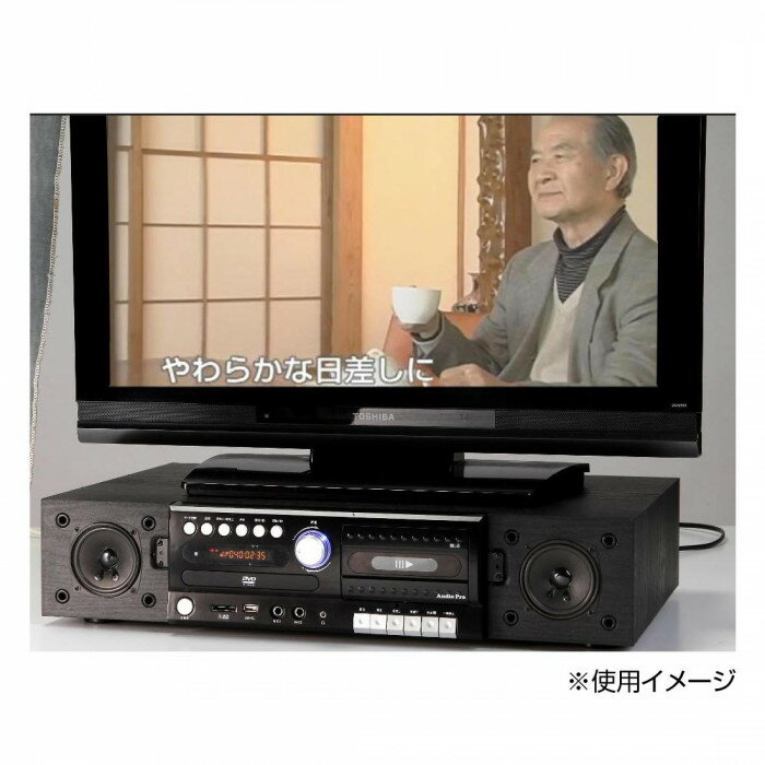 DVD内蔵TV台スピーカー　DVD-005KT