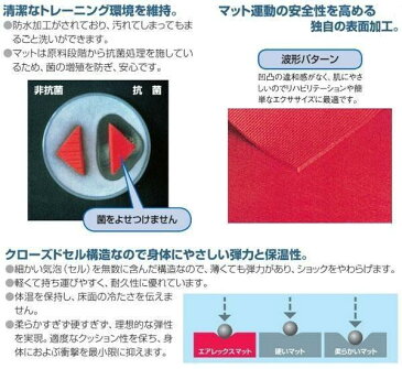 AIREXR エアレックス マット　リハビリ トレーニングマット波形パターン