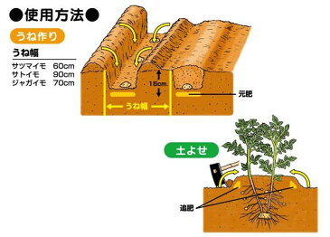 じゃがいも 肥料　ジャガイモ 肥料 いも 豆　ジャガイモの追肥肥料　10kg