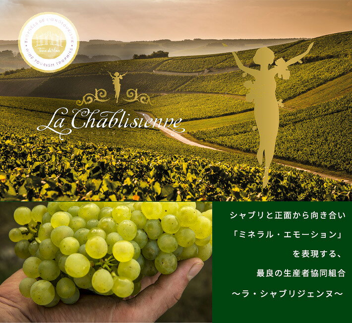 お買い得厳選Bourgogne 白ワイン 3 本セット pocketwineshop-10000038 POCKET WINE SHOP サンプル画像2