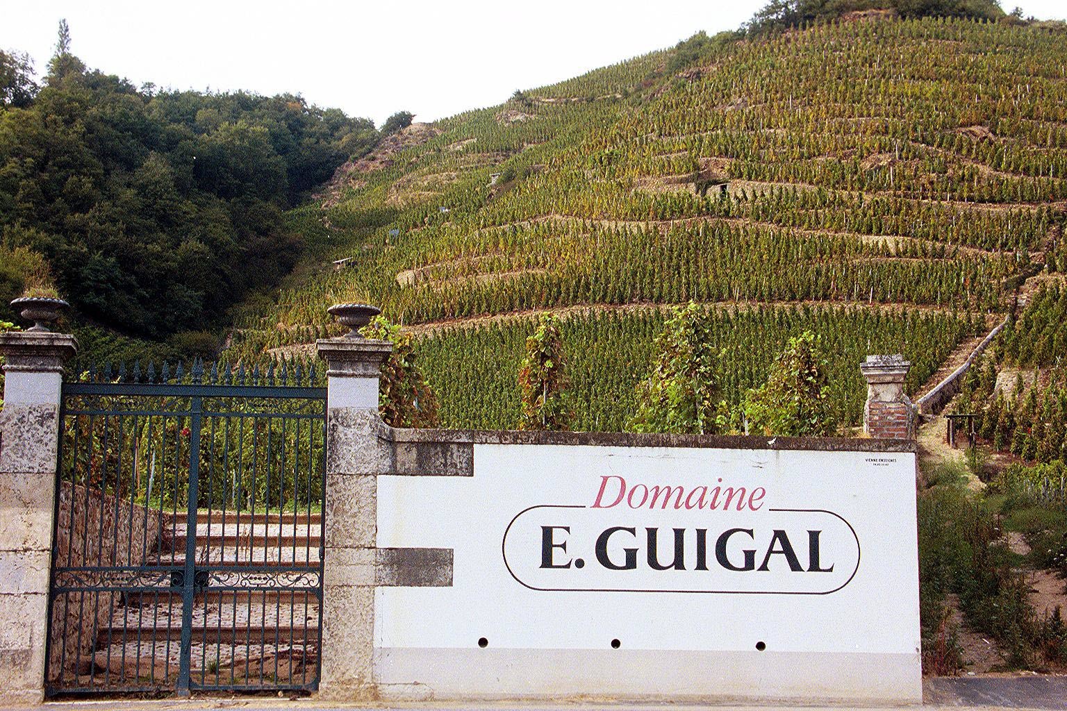 �ե�󥹥����ȥǥ�����̥�����(E.Guigal)5�ܥ��å�