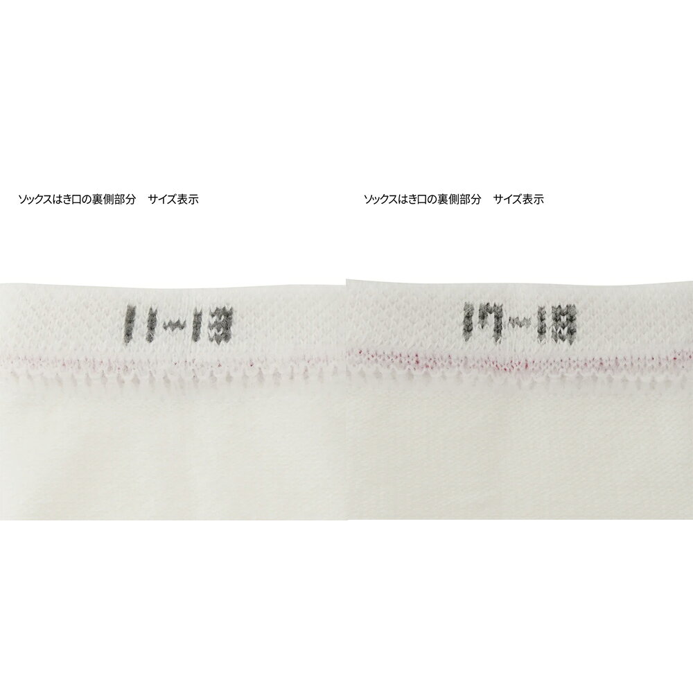 【WEB限定】ミキハウス mikihouse ローカットソックス (11-23cm) 靴下 ソックス 綿...