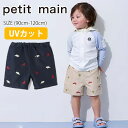 【サマーセール30%OFF】プティマイン 【SWIM】刺しゅうスイムパンツ (90cm-120cm) 水着 スイムパンツ スイムウエア スイムグッズ 恐竜 刺繍 UV対策 紫外線対策 海 川 水遊び プール 子供 子供服 キッズ 男の子 petit main 【9552606】