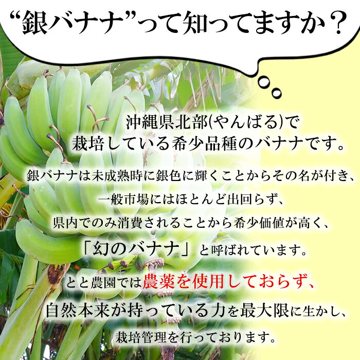【初回限定500円OFFクーポン】【栽培期間中...の紹介画像2