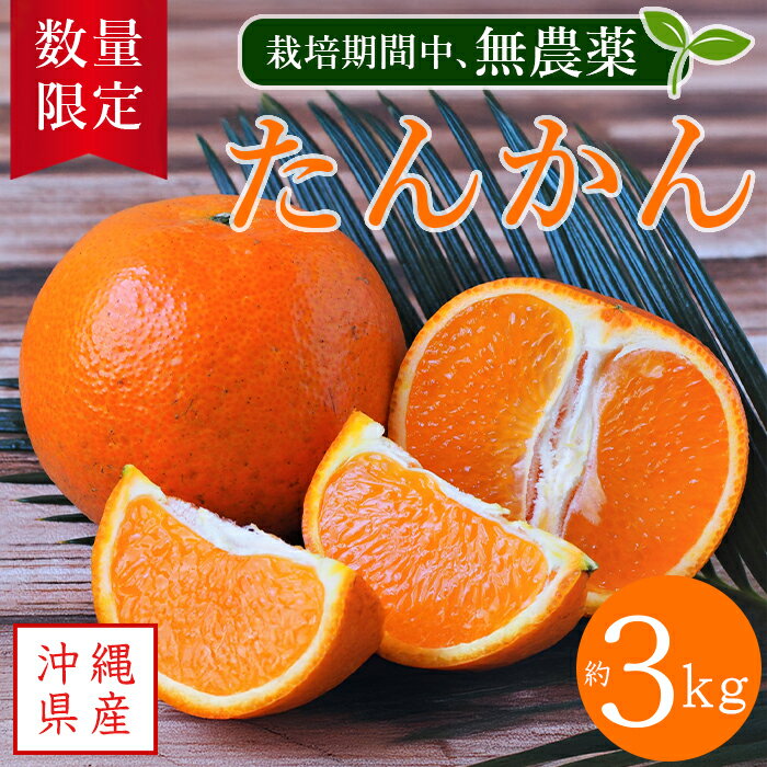 楽天市場】無 農薬 タンカンの通販