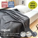 日本製 オーガニック コットン タオルケット シングルサイズ パイル 綿100% 国産 泉州 快適 睡眠 夏布団 吸水 通気性 ソフトタッチ ワッフル 天然素材 肌に優しい 環境に配慮 ミルキー ホワイト ライトグレー チャコール プレゼント ギフト 母の日 父の日
