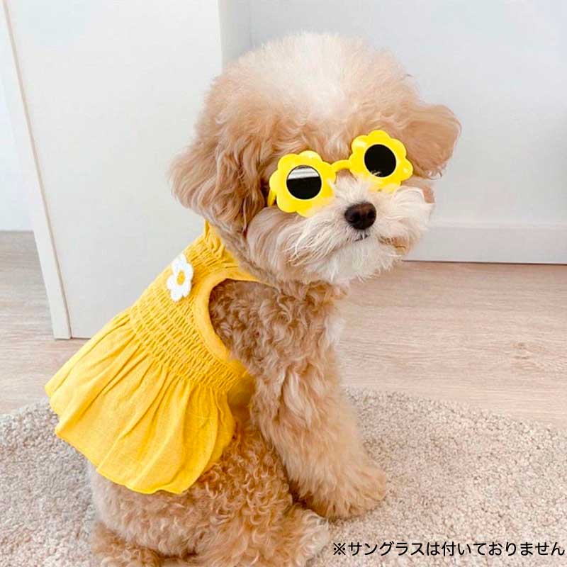 送料無料 超可愛い お出かけ お散歩 ドッグウェア 犬用のワンピース 犬服のポコポコ 大人気 犬 80 Off 服 春服 かわいい インスタ映え 女の子 可愛い 男の子 おもしろ 着せやすい 夏服 クマ柄 おしゃれ ワンピース
