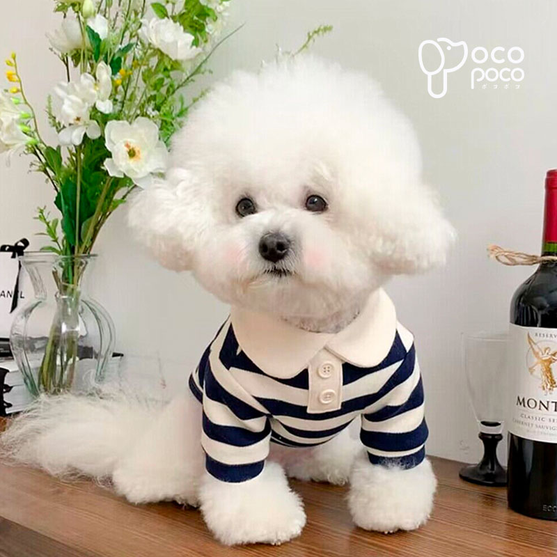 【全商品ポイント5倍】犬服 ポロシャツ タンクトップ ボーダー ドッグウェア 小型...