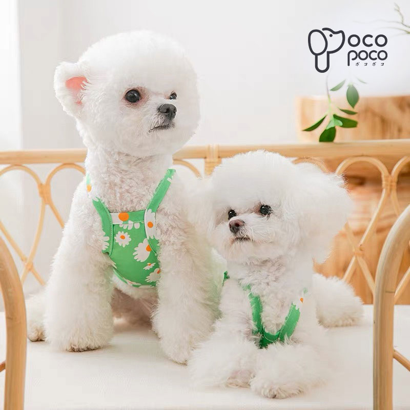 ペットウェア ペットグッズ 犬用品 ドッグウェア キャミソール 大人気 初回限定 犬服のポコポコ 22 春 夏 新作 チワワ プードル 犬 犬の服 ドッグウエア おもしろ 女の子 可愛い 男の子 着せやすい 犬用 かわいい 小型犬 犬服 ウェア おしゃれ Tシャツ