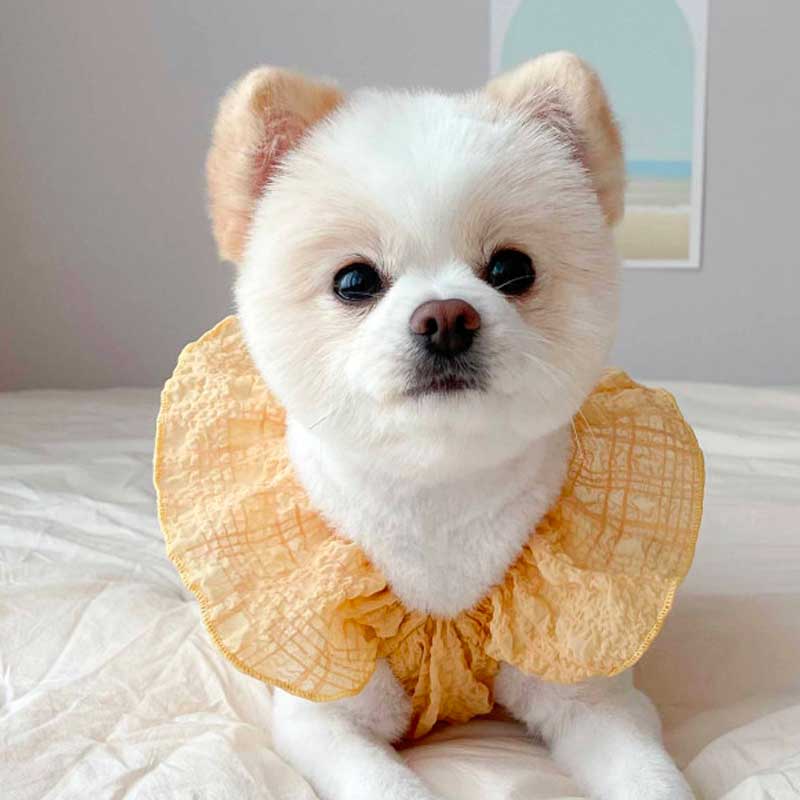 ���� �� ������ ���ԡ��� �Ρ����꡼�� �ղ� ���гݤ� ���ᤫ�� �İ��� ������� ���λ� �ˤλ� �᡼����