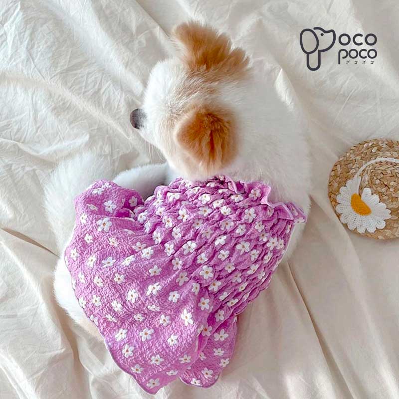 ���� �� ���ԡ��� �ä��� ������ ������� ���⤷�� ���襤�� �İ��� �夻�䤹�� ���λ� �ˤλ� ��͵� ���󥹥��Ǥ�