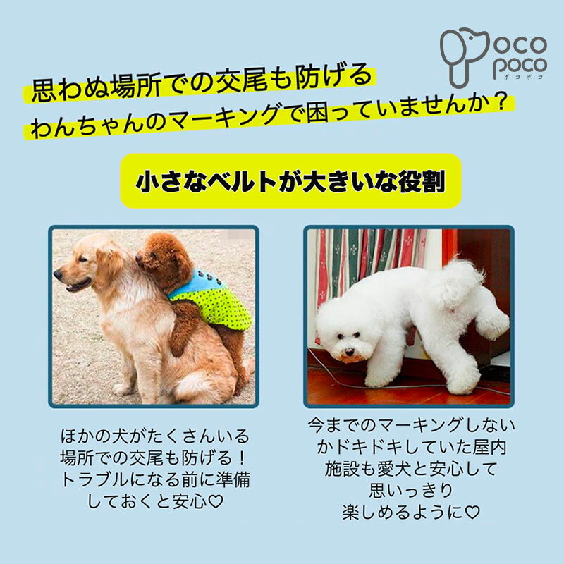 犬用マナーベルト 犬用マナーバンド マーキング防止 犬用オムツカバー ドッグウエア トイレ おしっこ失敗 オシッコ失敗 可愛い 男の子 しつけ 介護用品 介護グッズ お出かけ 2