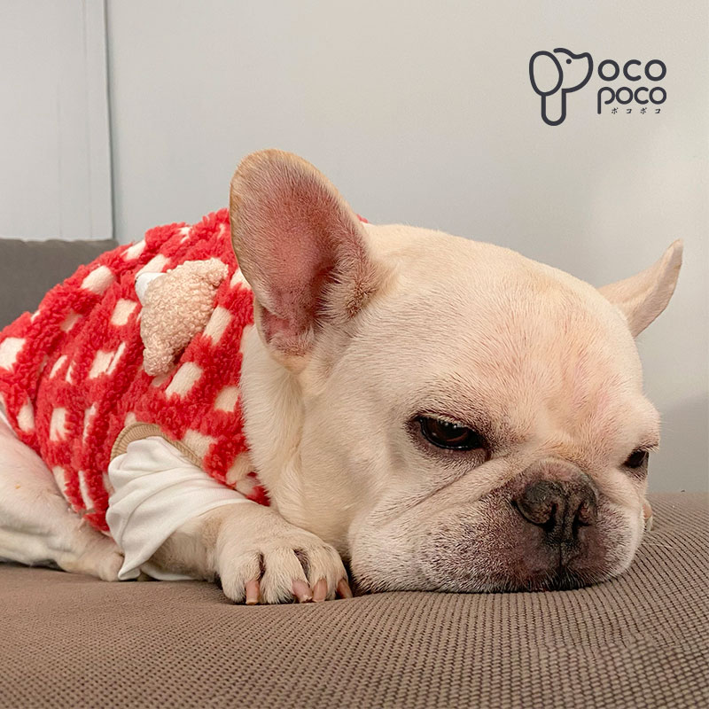 【全商品ポイント5倍】犬服秋冬 ドッグウェア ベスト 背中開き タンクトップ クマ ...