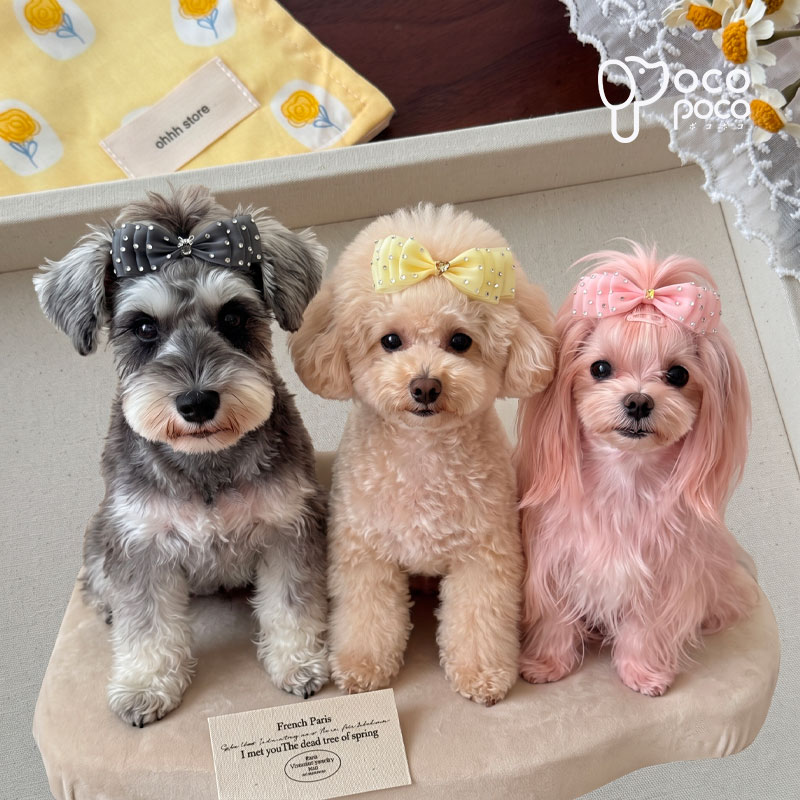 サイズキラキラ輝くストーンと優美なフリルフリル♪ 愛犬をパッと華やかに引き立てる、選べる2タイプの極上リボンピン商品特徴■手作りの可愛いアクセサリーです。 ■全犬種に対応しており、わんちゃんや猫ちゃんのおしゃれなお出かけにぴったり！ ■デニムのカジュアルさとキラキラの装飾が絶妙にマッチして、インスタ映え間違いなしです。 ■簡単に装着できて便利で、おしゃれなペットライフを楽しんでくださいね！注意事項■商品の撮影には最大限注意を払っておりますが、閲覧時のモニター環境によりましては実際の商品と若干違うお色味に映ることもございます。　 ■画像は参考画像です。写真と実際の商品の色・型が多少異なる場合がございますので、予めご了承下さい。 ■海外輸入商品の為日本製品と異なり、縫製の甘い部分、糸の多少のほつれ、形のゆがみ、色むら等汚れある場合がございます、品質上、着用上に問題はございません。 ■生産・入荷時期により商品規格や洋服デザイン・仕様などで若干サイズが前後いたしますことをご了承くださいませ。 ■商品のサイズ交換のみ対応致します。交換の際に往復送料お客様の御負担となります。ご希望の方必ず事前にお問い合わせフォームでお問合せください。 ■交換、返品の対応は受け付けておりません。あらかじめご了承ください。お問い合わせ少人数で運営のため、電話対応できない場合がございますので、なるべくお問い合わせフォームからお問い合わせ下さいませ。 『購入履歴→詳細→ショップへ関する問い合わせ』キラキラ輝くストーンと優美なフリルフリル♪お散歩やお出かけ、SNS用の写真撮影、トリミング後のワンポイントにもぴったり！お洋服や毛色に合わせて選べる豊富なカラーラインナップ！ワンタッチピンタイプ【ショートヘアにおすすめ】 パッチンと留めるだけの簡単装着。被毛が短めのわんちゃんや、しっかり固定したい場合におすすめです。 プラバレッタタイプ【ロングヘアにおすすめ】 毛を挟み込んで留める軽やかなタイプ。毛量の多い子や毛足の長いわんちゃんにぴったりです。 関連商品はこちら犬用 ヘアピン リボン チェリー 【選べ...犬 ヘアアクセサリー 【全7色】 レース...犬用 ヘアピン 全犬種 可愛い 頭飾り ア...ペット ヘアバンド 犬 猫 リボン リブヘ...犬用 ヘアピン デニム 全犬種 可愛い 頭...ペット用 スヌード フードカバー耳汚れ...