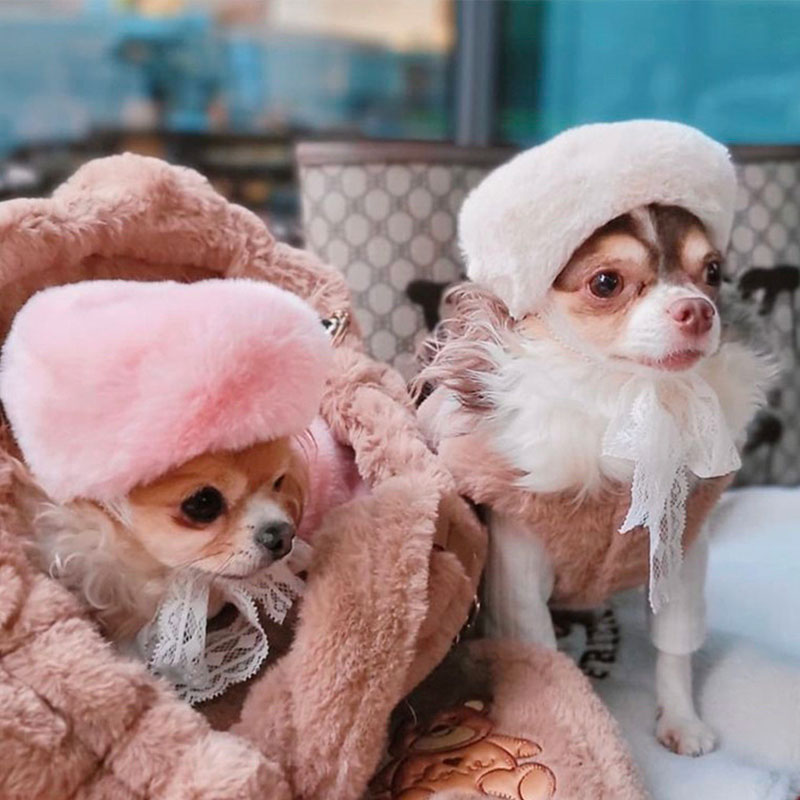 犬服 春 犬 帽子 小型犬 可愛い カワイイ ...の紹介画像2
