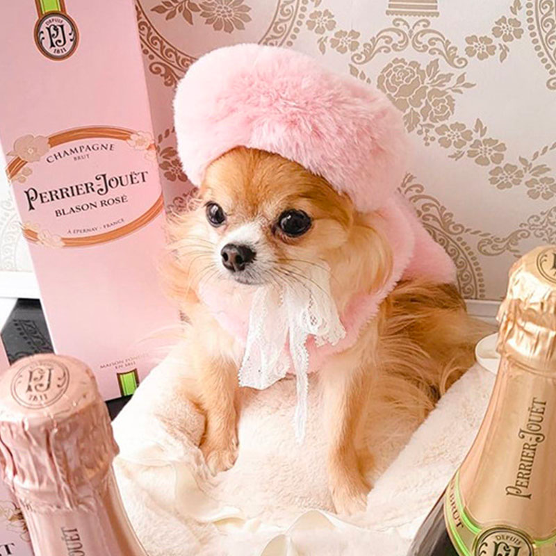 犬服 春 犬 帽子 小型犬 可愛い カワイイ ...の紹介画像3