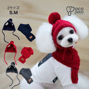 犬用帽子｜冬の防寒対策に！人気のニット帽など、おしゃれで暖かいペットウェアのおすすめは？