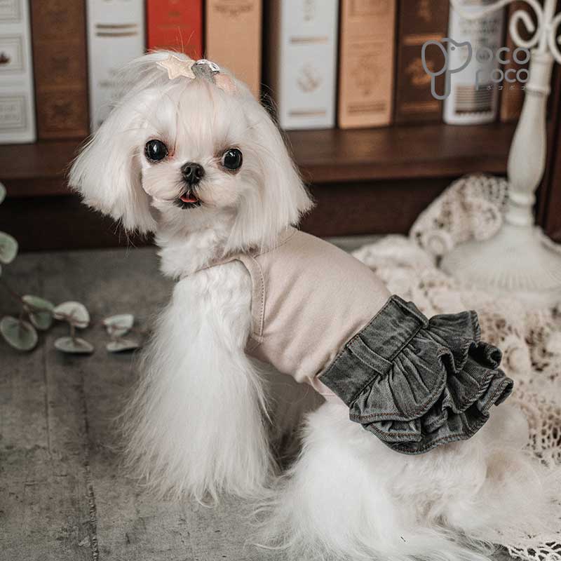 ���� �� �ɥå������� ���ԡ��� ����ߥ��ԡ��� �ǥ˥� ���� ǭ�� �ƥ������ɥ������� �֥��� ��� ������� ���⤷�� �İ��� �夻�䤹�� ���λ� �ˤλ� �Ĥʤ� ������