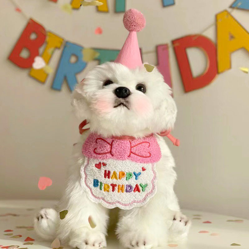 犬服 犬 猫 誕生日 バースデー ハット よだれかけ 2点セット ペット用スタイ 記念日 写真 撮影 お祝い HappyBirthday ギフト プレゼント コスプレ スカーフ 刺繍 かわいい SNS 人気 ペット バースディプレゼント　贈り物 インスタ映え
