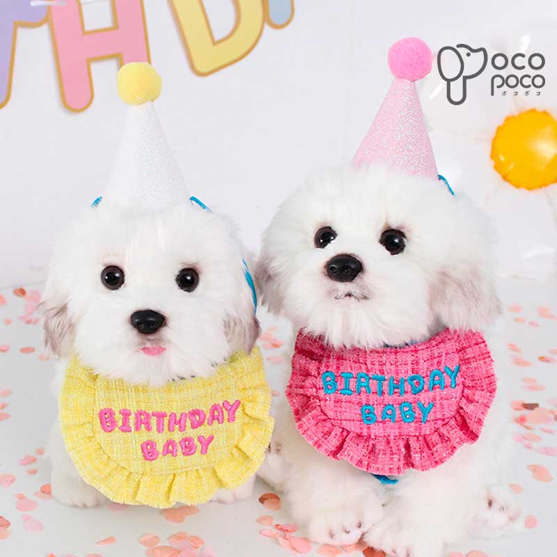 【最大350円OFFクーポン】犬服 春 犬 ネコ 誕生日 バースデー ハット 帽子 チュールベール ペット用品 インスタ映え おしゃれ 小型犬 かわいい オシャレ ペットアクセサリー ペットグッズ 犬用 猫用のサムネイル