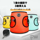 【全商品ポイント5倍】お買い得!犬 ハーネス 小型犬 中型犬 かわいい おしゃれ 犬用 胴輪 犬ハーネス3点セット&リード付き 軽量 負担が少ない 抜けない 犬具 ダブルロック メッシュ 抜けにくい 犬具 簡単装着 お出かけ 散歩 外出 ドッグウェア