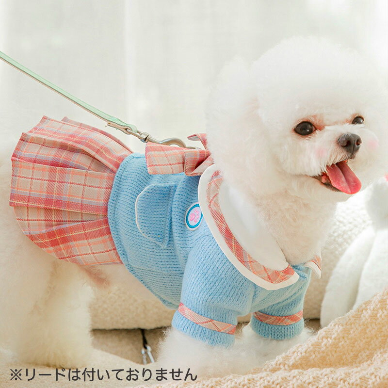 �������ʥݥ����5�ܡ۸��� �����顼�� �ե�եꥹ������ ���ԡ��� �ϡ��ͥ����ԡ��� �ڥåȥ����� ���� �ͥ� �͵� �ڥå����� ���Ф��� ������ ��������� �����ڥå�