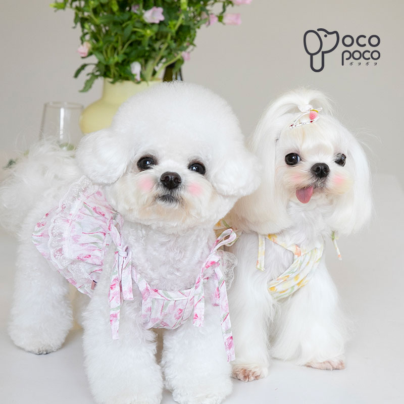 【全商品ポイント5倍】犬服 ワンピース ドッグ...の紹介画像3