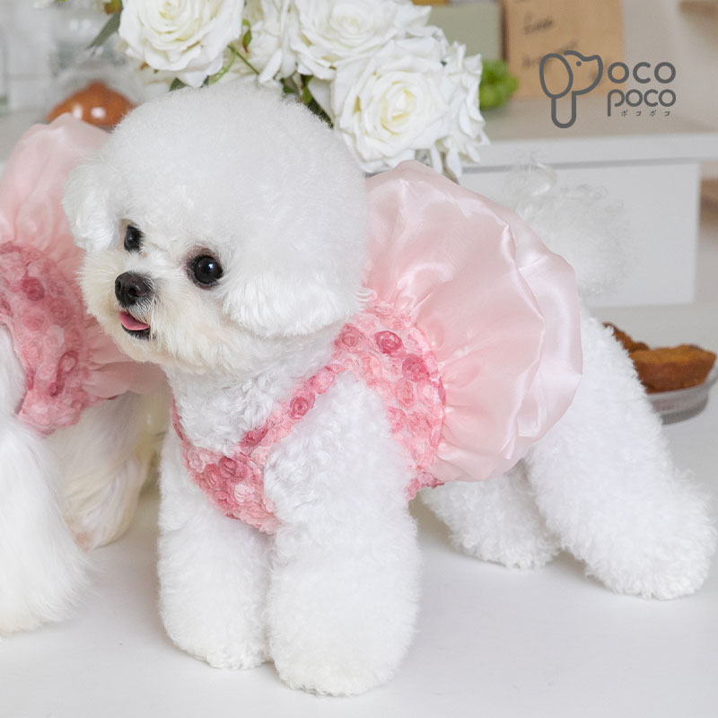 ���� ���ԡ��� ����ߥ��ԡ��� �ɥ쥹 ��� ��ɱ�� �ץ�󥻥� ��󥰥ɥå� Ω��Ū�� �ä��� ������� ���⤷�� ���襤�� �İ��� �夻�䤹�� ���λ� �ˤλ� ������ ȴ�����ɻ� �����⥦���� ���󥹥��Ǥ�������ư���դ���