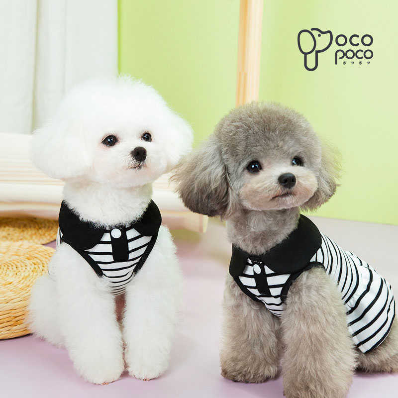 �� ���� �ڥå��� �ɥå������� ���ԡ��� ���󥯥ȥå� �ϡ��ͥ������� ǭ�� �ڥ���å� �������� �ˤλ� ���λ� �İ��� ������� µ�ʤ� ������ ���Ф��������� ���󥹥��Ǥ�