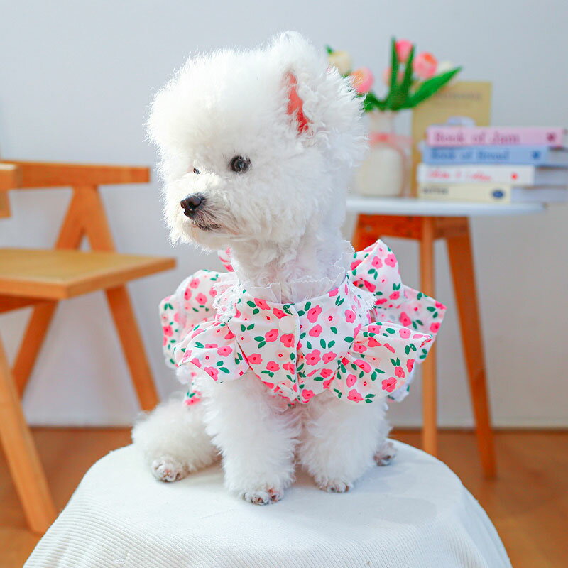 【全商品ポイント5倍】犬服 ドッグウェア ワン...の紹介画像3