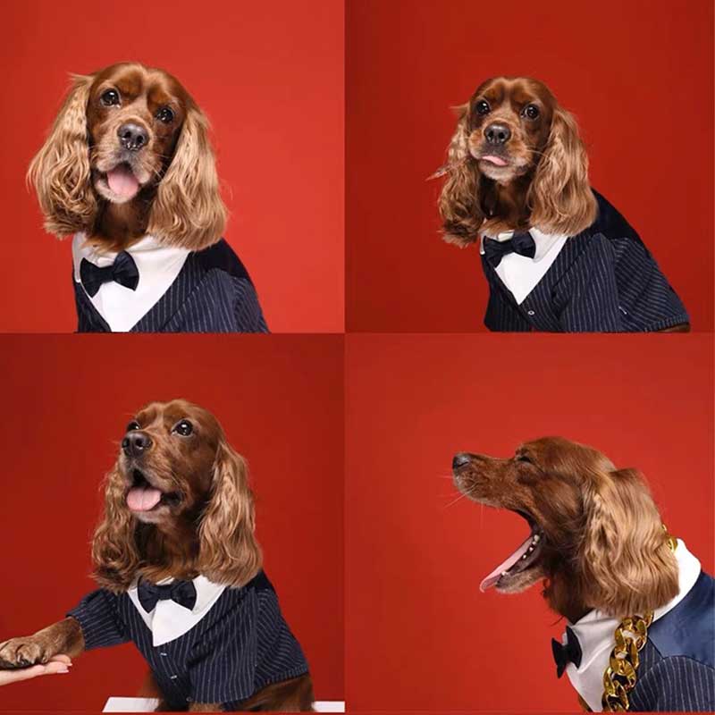 【全商品ポイント5倍】犬服タキシード ジャケッ...の紹介画像3