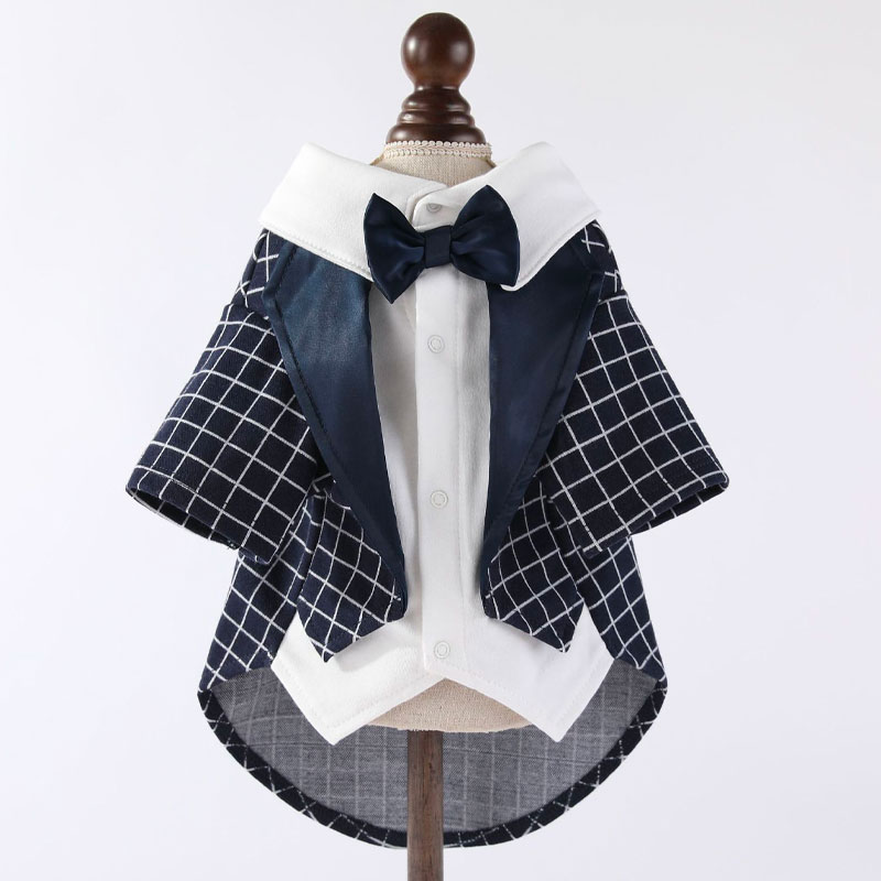 ������ ���������� ���㥱�å� �����ǥ��� ���� �ͥ����� ĳ�ͥ����� �뺧�� �ե����ޥ� ��󥰥ɥå� ������ �ˤλ� �����ץ� ��ǰ�� ���ˤ� ������ �Ƹ�