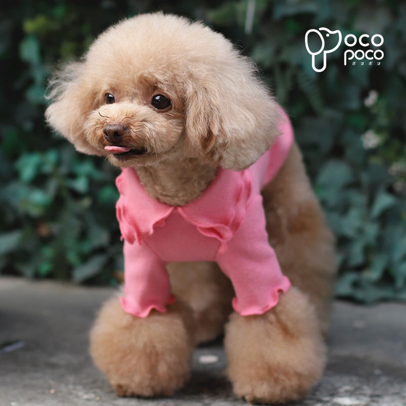 犬服 秋冬 カットソー tシャツ フリル オシャレ おもしろ かわいい 可愛い 着せや...