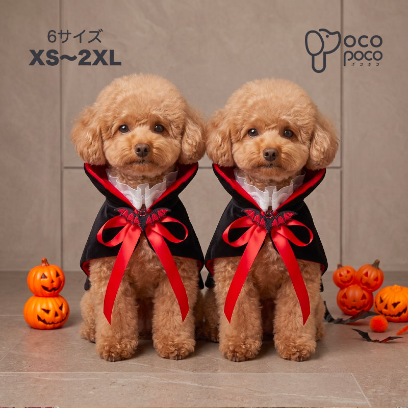 楽天市場】ハロウィン 犬 リボンの通販