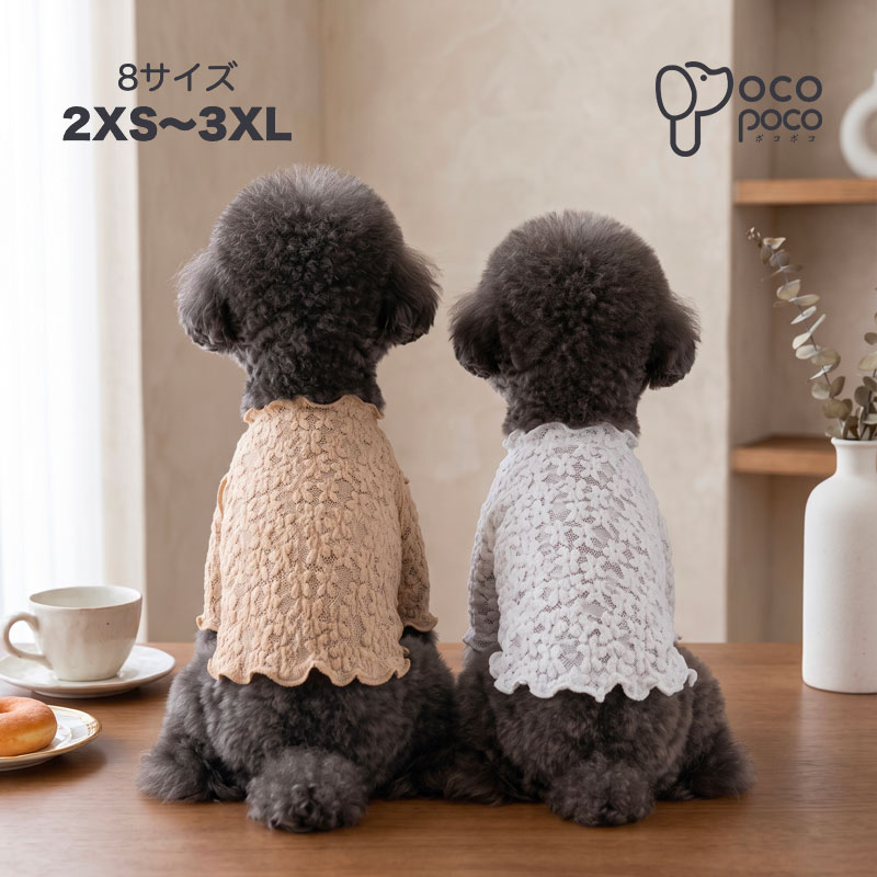 楽天市場】レース（ドッグウェア｜犬用品）：ペット・ペットグッズの通販