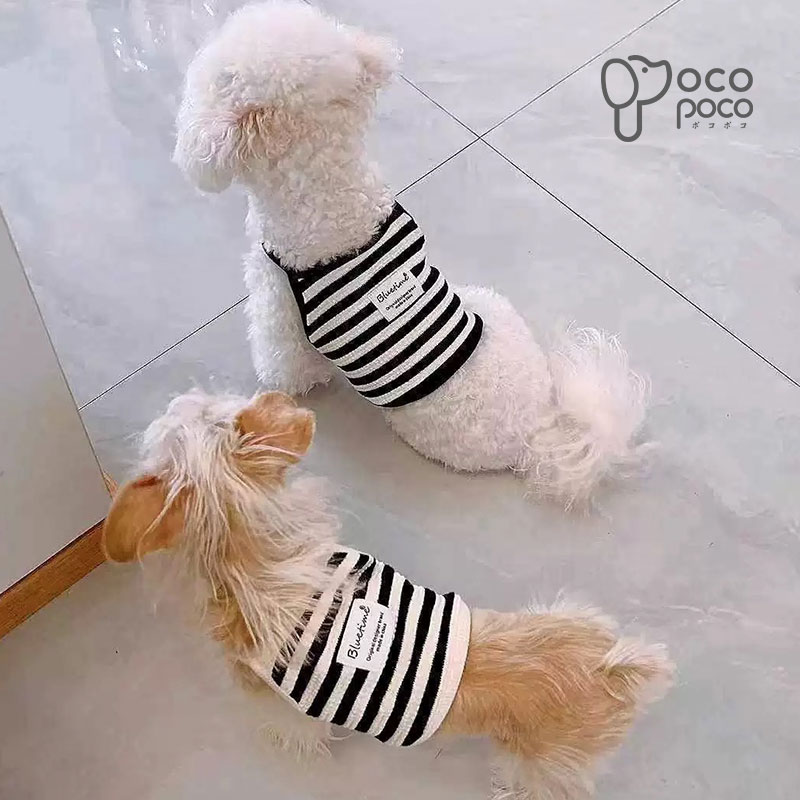 【全商品ポイント2倍】犬服 犬の服 キャミソール クール 涼しい ドッグウェア 可愛...
