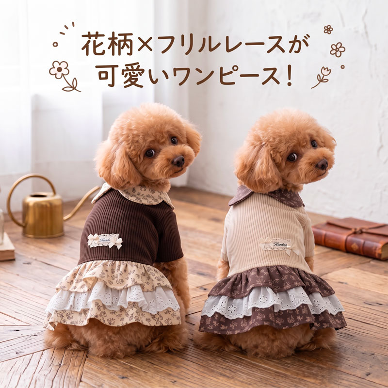 楽天市場】リブニット 犬服の通販