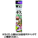 【3点購入で最大P28倍!】ささめ針 キス早掛2本 K−129 針9号−ハリス1号【メール便】